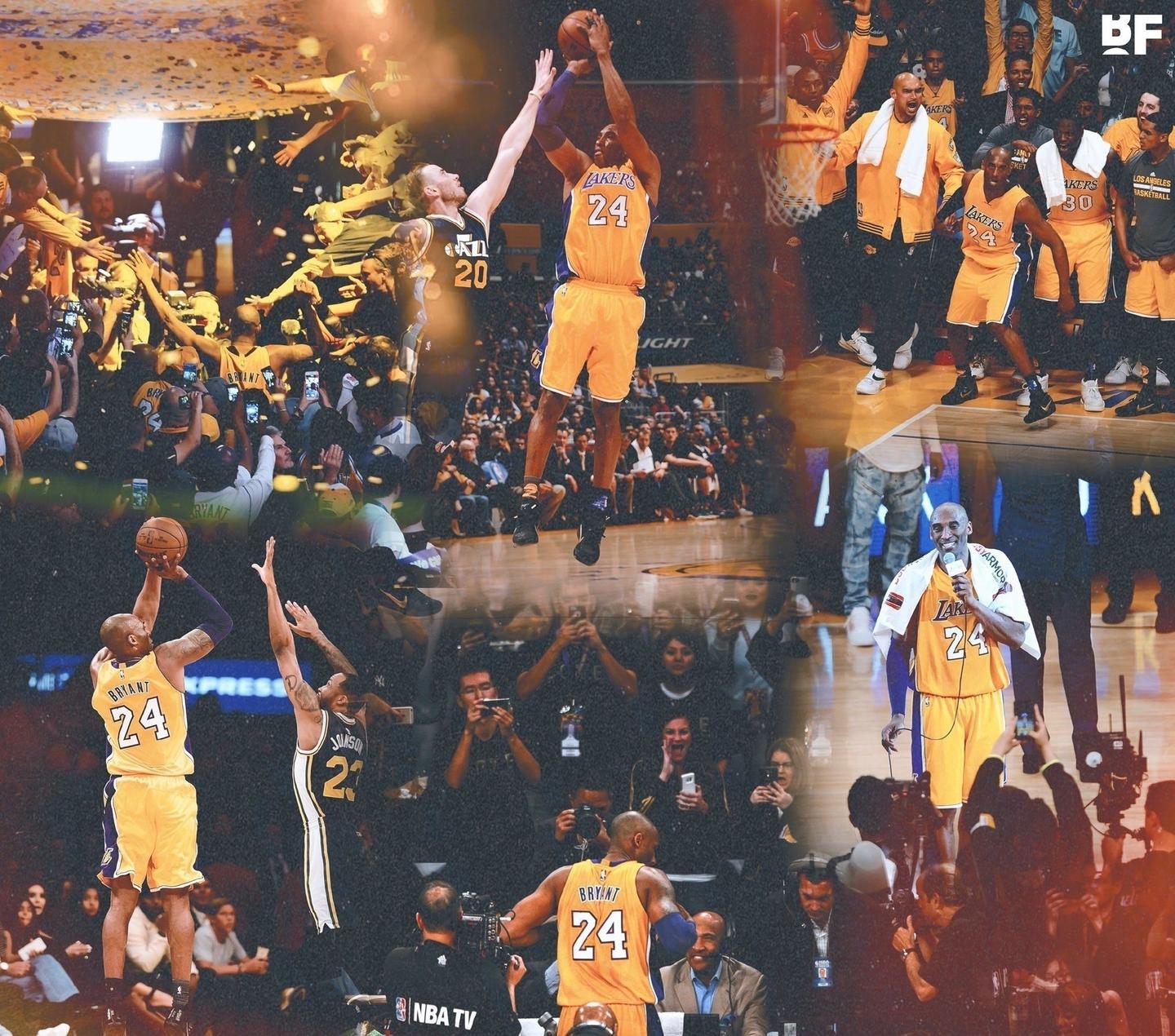 动物油精炼设备